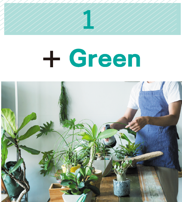 【1】+Green