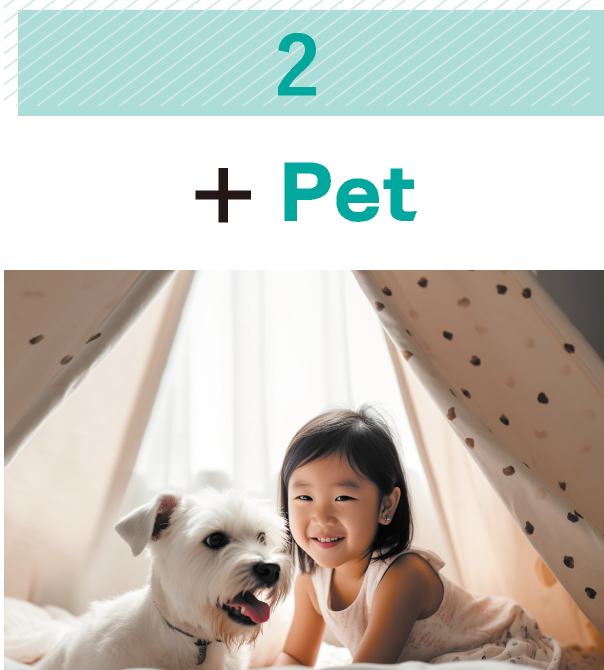 【2】+Pet