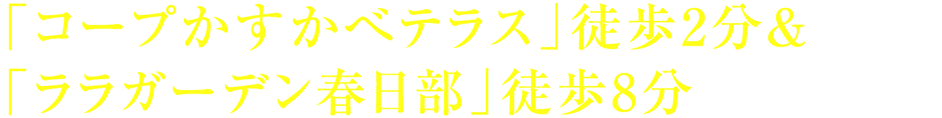 「コープかすかべテラス」徒歩2分＆「ララガーデン春日部」徒歩8分